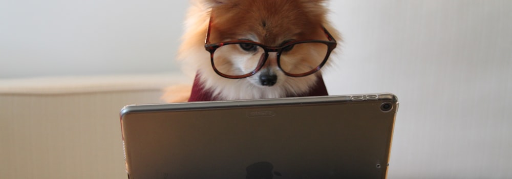 英文内容创作与博客策略提升SEO排名配图 - 展示英文写作与内容规划白板